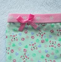 Funderwear meisjes setje Tiger - Onderbroek & Hemdje - Boxershorts - Roze - Groen - Paars - thumbnail