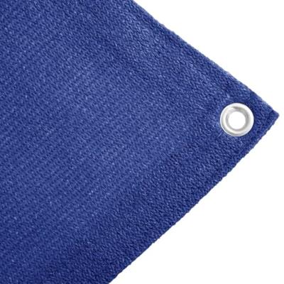 VidaXL Tenttapijt 250x450 cm blauw