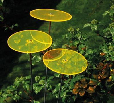 3 stuks! Zonnevangers Geel groot 175x20 cm Cazador Del Sol - Cazador del sol 3 stuks! Zonnevangers Geel groot 175x20 cm Cazador Del Sol - Cazador del sol