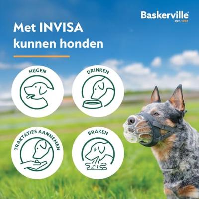 Muilkorf Company of Animals Transparant 2