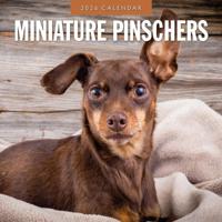 Miniatuur Pinscher Kalender 2026 - thumbnail