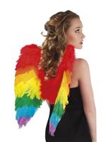 Engelenvleugels regenboog - thumbnail