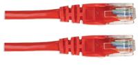 Intellinet 342131 RJ45 Netwerkkabel, patchkabel CAT 6 U/UTP 0.50 m Rood 1 stuk(s) - thumbnail