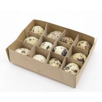 Paasdecoratie Kwarteleitjes 12st - thumbnail