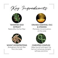 Rene Furterer Tonucia Natural Filler Replumping Shampoo 50ml - thumbnail