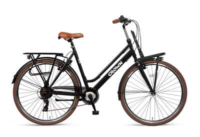 Altec King Mountainbike 29 inch V-Brakes 21v