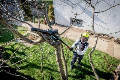 Metabo Accessoires | Telescoopstang MS - 628714000