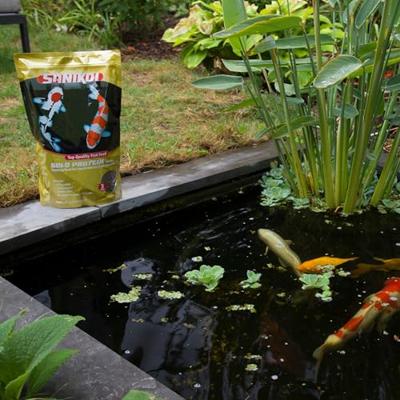 Sanikoi Gold Protein Plus 3mm Eiwitrijk Drijvend Vijvervoer - 3L, Voor Vijvervissen vanaf 15°C - thumbnail