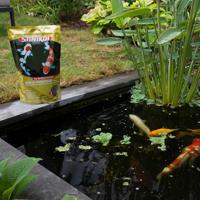 Sanikoi gold protein plus 3mm 1000 ml - thumbnail