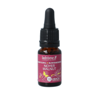 Bloemessence walnut bio 10 Milliliter - thumbnail