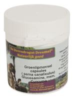 Dierendrogist groenlipmossel met glucosamine / msm / curcuma - thumbnail