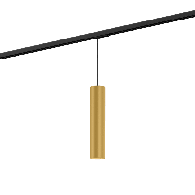 Wever & Ducre - Ray on track (1F) 3.0 PAR16 Hanglamp