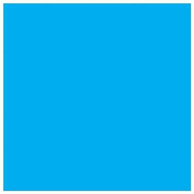 Epson Inktcartridge T5802 Origineel Cyaan C 13 T 580200 Epson Inktcartridge T5802 Origineel Cyaan C 13 T 580200