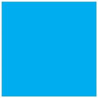 Epson Inktcartridge T5802 Origineel Cyaan C 13 T 580200 - thumbnail