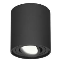 Ronde LED Opbouwspot Ray - 4 Watt 345 Lumen - 4000K neutraal wit - Kantelbaar - GU10 - Opbouwspot - IP20 Voor binnen - Zwart - Dimbaar - thumbnail