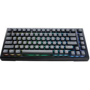 Ducky Tinker 75 toetsenbord USB Zwart