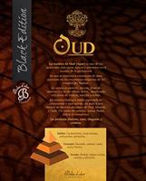 Geurolie Brumas de ambiente 50 ml Oud Boles d'olor - Boles d olor - thumbnail