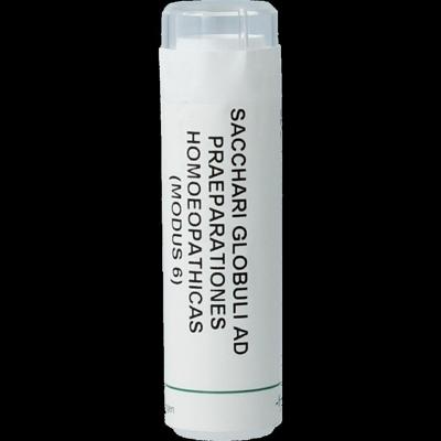 Homeoden Heel Saccharum officinalis/Placebo granulen 6 Gram