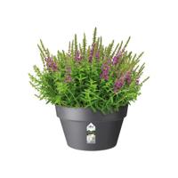 Elho Loft Urban Plantenschaal Antraciet Ø35cm - thumbnail