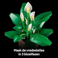 LEGO BOTANICALS 11504 Vredeslelie - thumbnail