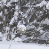 Esschert Design Vetbolhouder 25,5cm - thumbnail