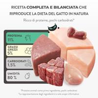 Schesir After Dark Velvet mousse kip & rund 80g - thumbnail