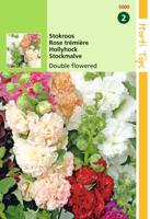 Zaden Althaea (Alcea) Stokroos Chater's dubbelbloemig gemengd Hortitops - Hortitops - thumbnail