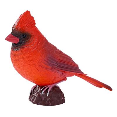 Mojo farmland rode kardinaal - 381117