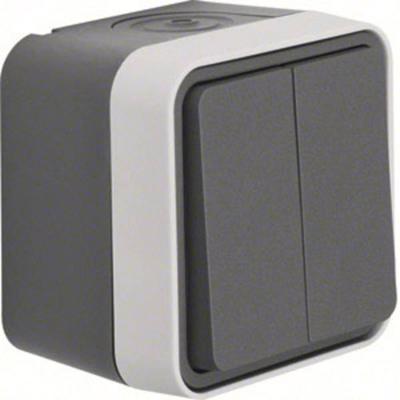 Berker 30753505 W.1 (opbouw) Serieschakelaar spatwaterdicht Grijs, Lichtgrijs 1 stuk(s)