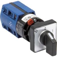 Kraus & Naimer CG4.A250.FS2 Wisselschakelaar 10 A 2 x 60 ° Grijs, Zwart 1 stuk(s) - thumbnail