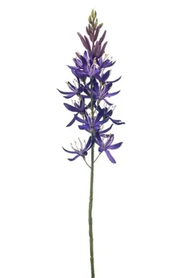 Emerald kunsttak camassia 61cm paars