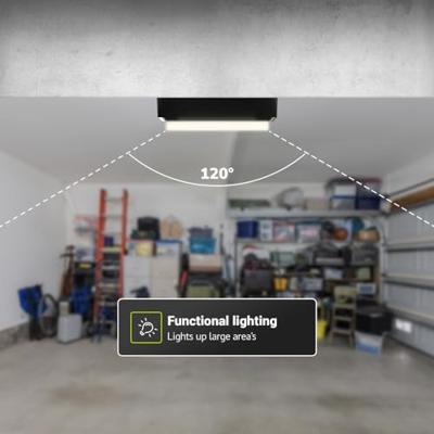 Set van 4 C-Series - LED Plafondlamp zwart ovaal - Wandlamp - Scheepslamp - IP54 - 18 Watt - 1830lm - 4000K neutraal wit - voor binnen en buiten