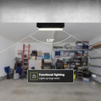 Set van 4 C-Series - LED Plafondlamp zwart ovaal - Wandlamp - Scheepslamp - IP54 - 12W - 1160lm - 4000K neutraal wit - voor binnen en buiten - thumbnail