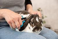 TRIXIE GEZICHT- EN POTENSCHAAR KUNSTSTOF / RVS 8 CM 3 ST - thumbnail