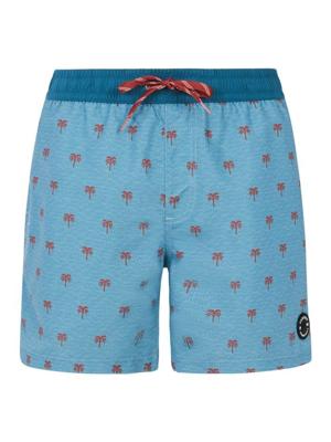 Protest PRTParco Zwembroek Heren Dusty Blue S