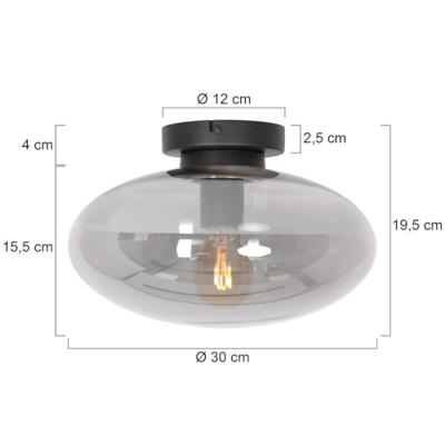 Steinhauer Glazen plafondlampReflexion ovaal Ø 30cm - 3388ZW