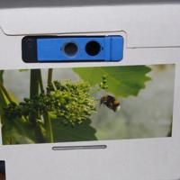 HOMMELKAST| +80 werksters - tot 700m² bestuiving - thumbnail