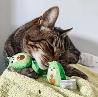 Fuzzyard Crinkle pluche kattenspeelgoed met touwtje en kattenkruid binnenin (Avocatos) - thumbnail