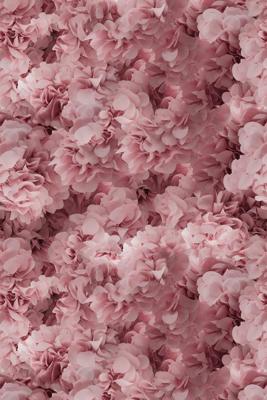 Moooi Carpets - Laagpolig Vloerkleed Hortensia Pink Soft Yarn -