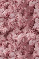 Moooi Carpets - Laagpolig Vloerkleed Hortensia Pink Soft Yarn - - thumbnail