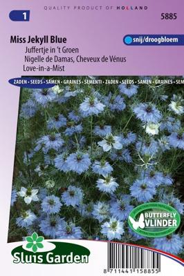 Nigella Damascena zaden Jekyll Blue juffertje in 't groen