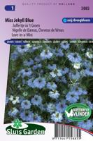 Nigella Damascena zaden Jekyll Blue juffertje in 't groen - thumbnail