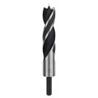 Bosch Accessories 2608597208 Hout-spiraalboor 30 mm Gezamenlijke lengte 220 mm Cilinderschacht 1 stuk(s) - thumbnail
