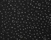 Le Suh Rocailles Borduurkralen Zwart - thumbnail