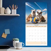 Honden Olympics Kalender 2026 - thumbnail