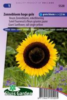 Helianthus Annuus Giganteus zaden Zonnebloem - thumbnail