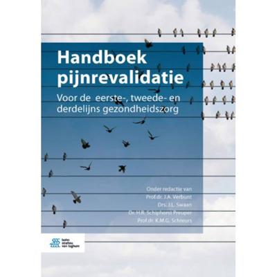 Handboek pijnrevalidatie (Paperback)