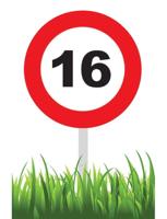 Verkeersbord 16 Jaar Tuin 36cm - thumbnail