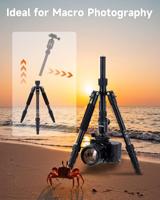 Rollei Compact Traveler nr. 1 zwart - thumbnail