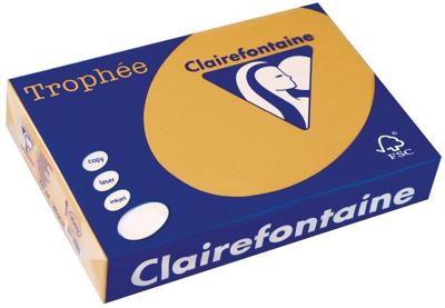 Clairefontaine Trophée Pastel, gekleurd papier, A4, 160 g, 250 vel, mokkabruin